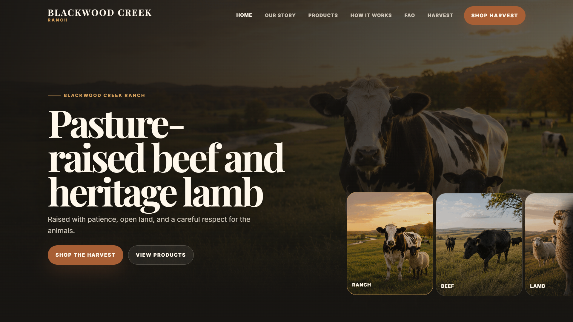 Blackwood Creek Ranch pasture-raised beef and heritage lamb website preview